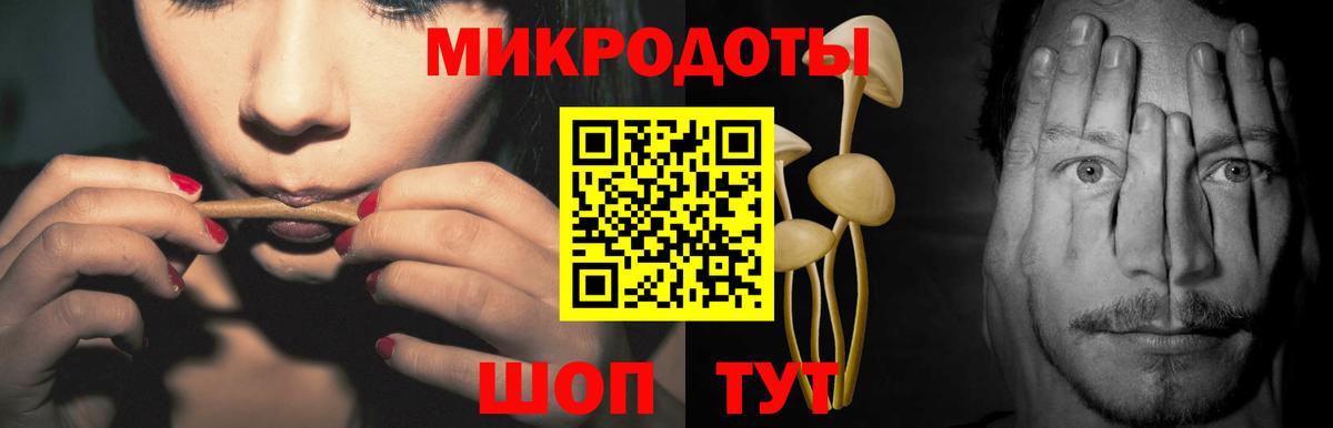 Псилоцибиновые грибы Psilocybe Киров